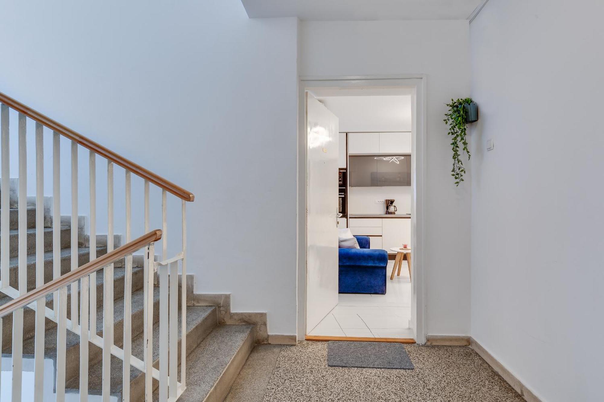 Rade Luxury Apartment 扎达尔 外观 照片